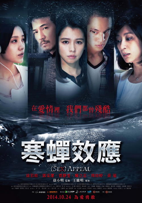学历证书丢了怎么查编号查询